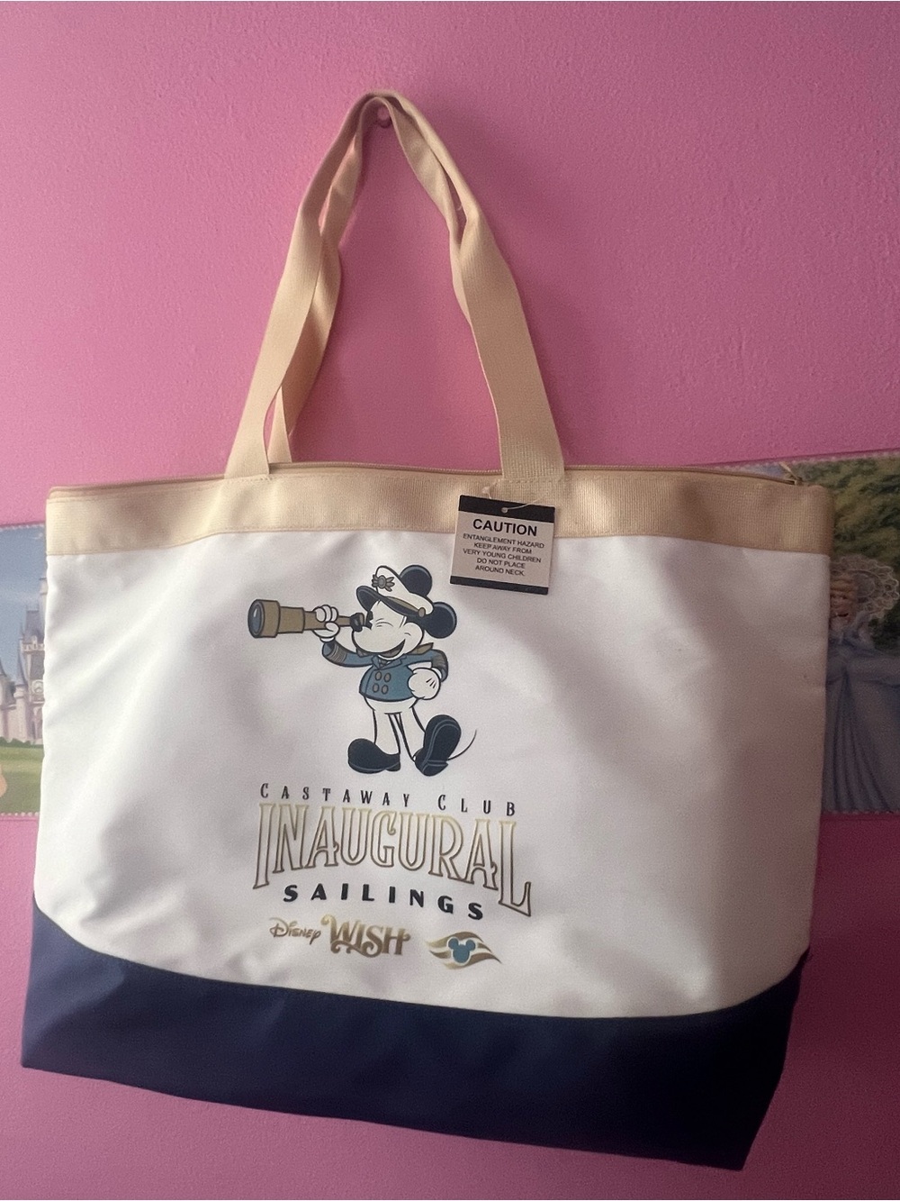 Disney Cruise Line Castaway Club Inaugural Sailings bundle -Disney Wish 🚢 NWT
